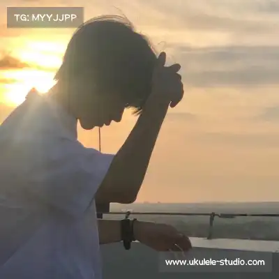 卫昭桥